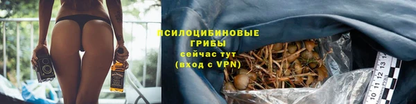 крисы Абдулино
